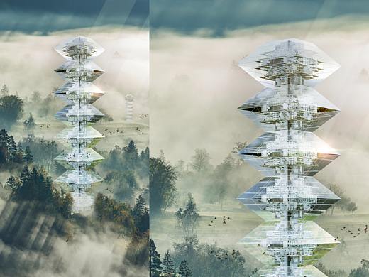 林之社区 Forestlike community