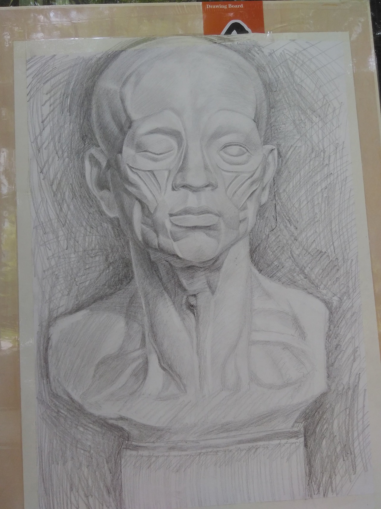 素描肌肉头像石膏