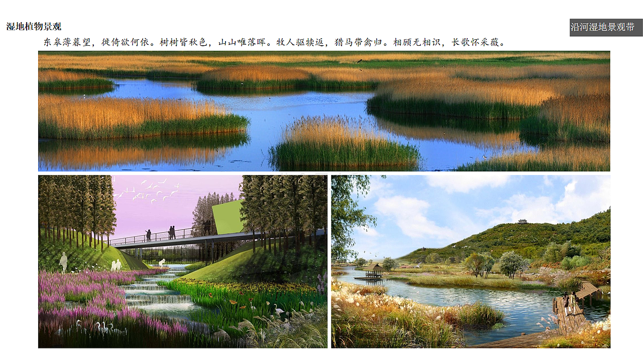 做的第一个美丽乡村的文本