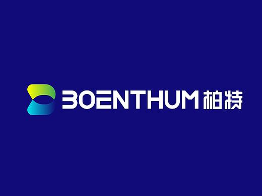 宿迁柏特粮食设备LOGO设计 | 商业品牌设计