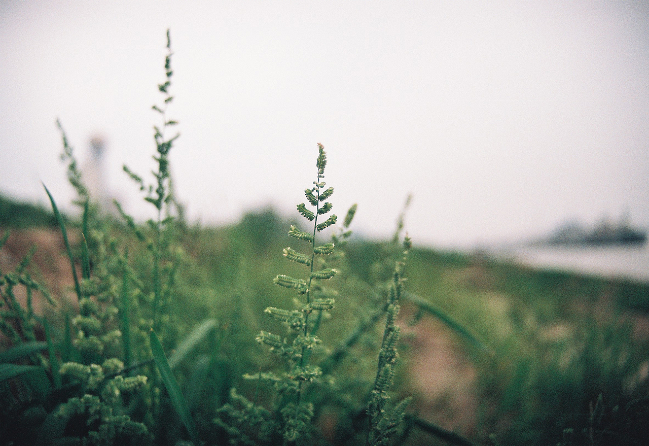吴熙玮和他的胶片
