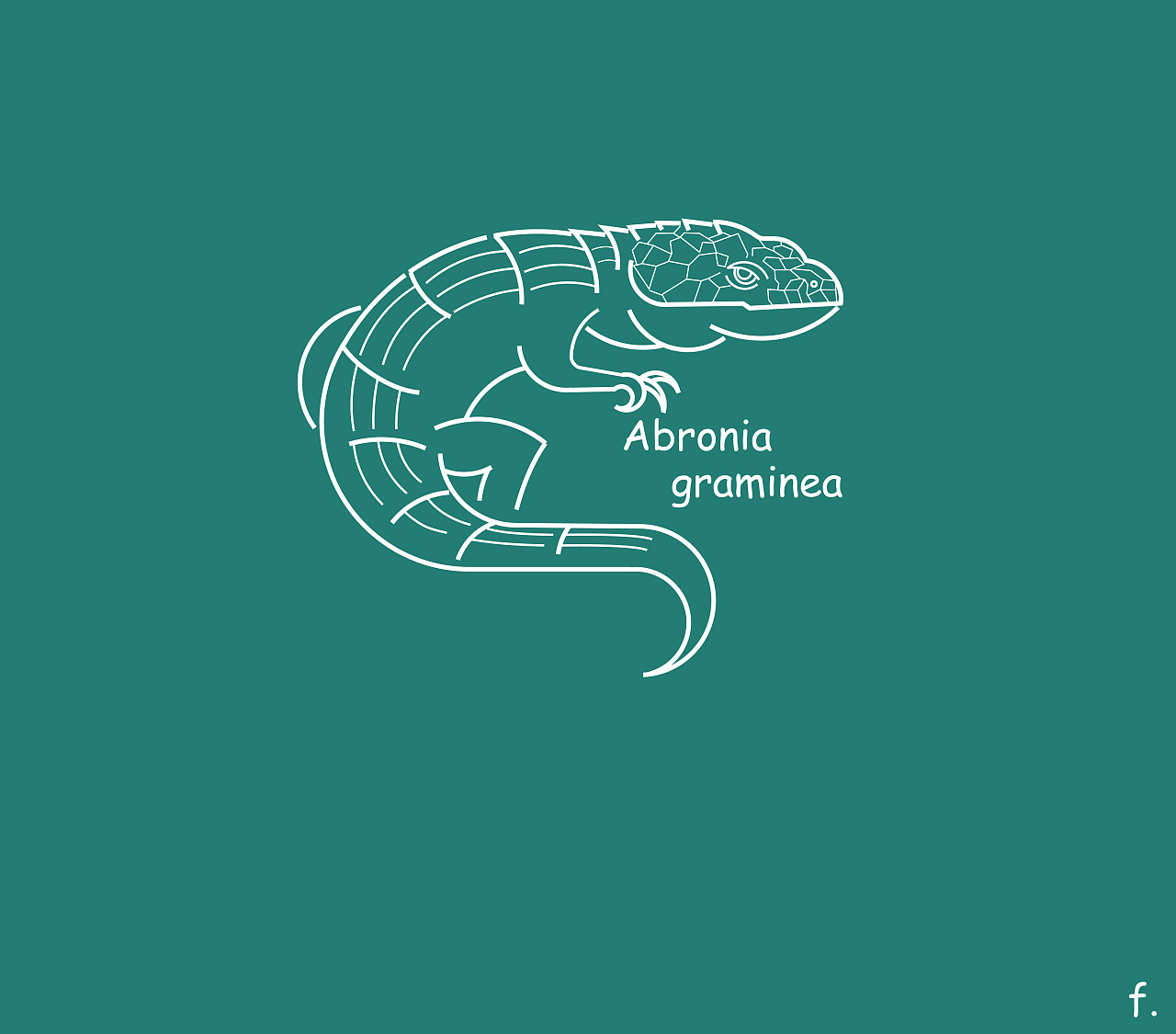 动物!动物!|平面|品牌|fusiqi3 - 原创作品 - 站酷 (zcool)