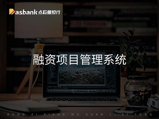 点石微投行项目管理系统