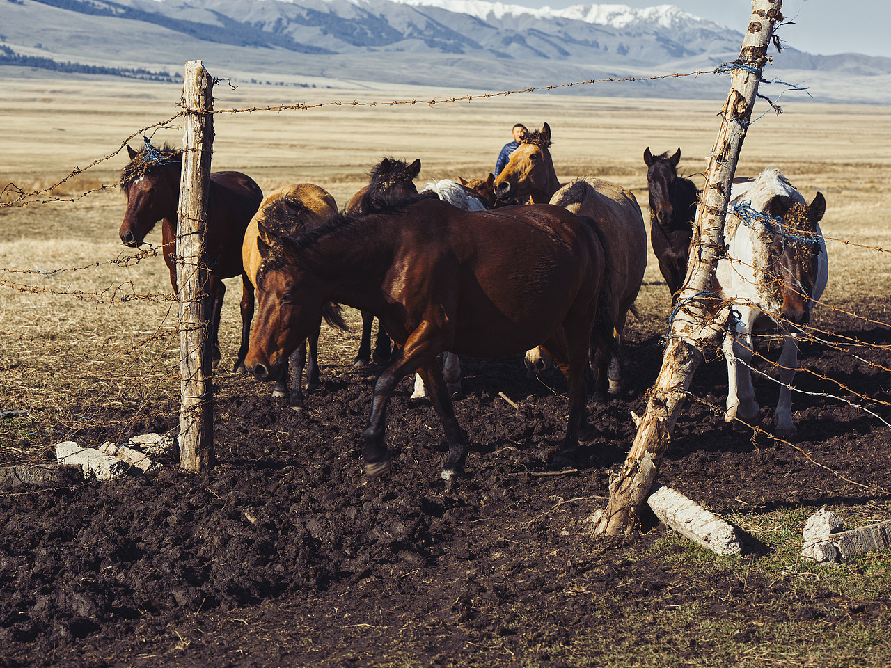 男装拍摄 | 在路上