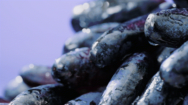 电商视频|水果茶视频（图ZMzIxMDc2Nzgw） - 产品摄影 - 站酷设计师亚集原创素材 - 站酷ZCOOL