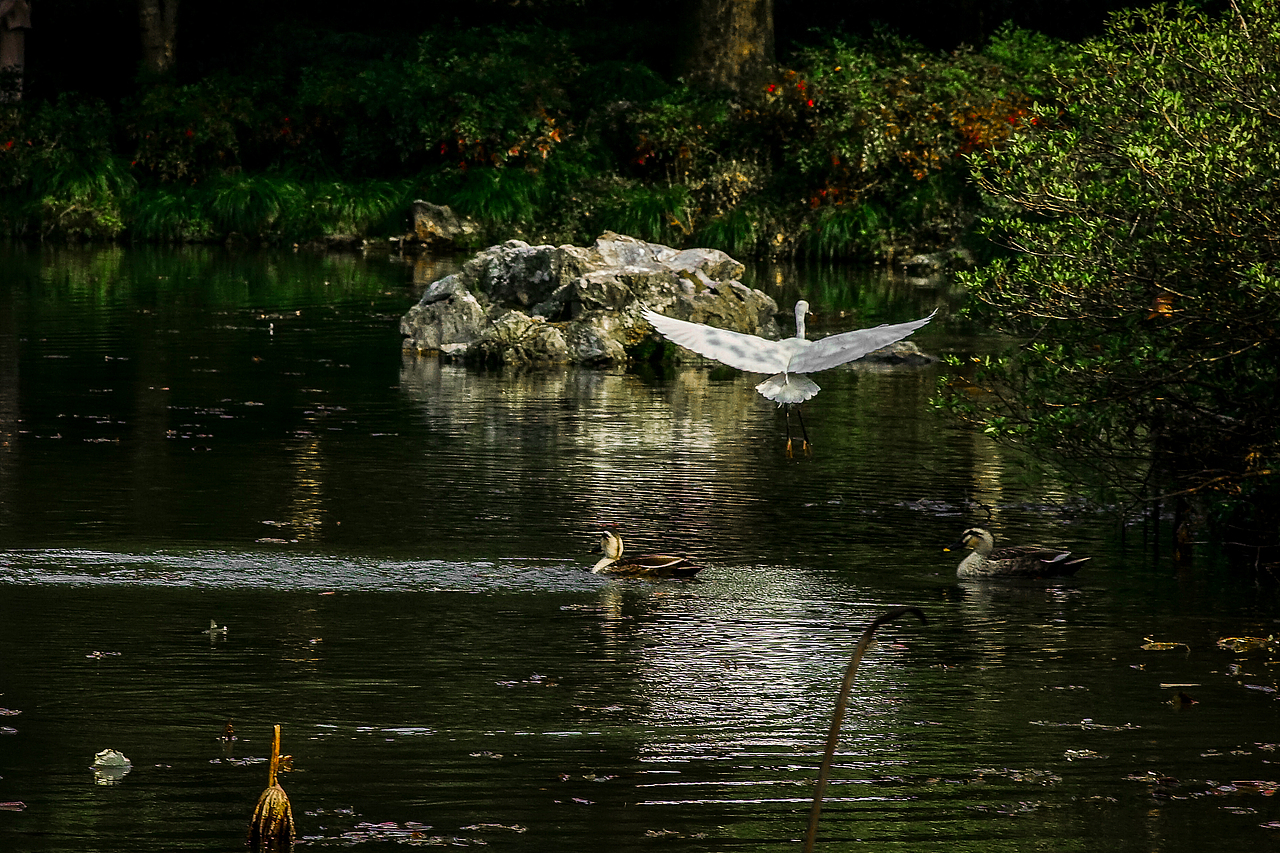 城市风貌系列6（图ZMzYzMTQ2MTQ4） - 风光摄影 - 站酷设计师莫潘原创素材 - 站酷ZCOOL