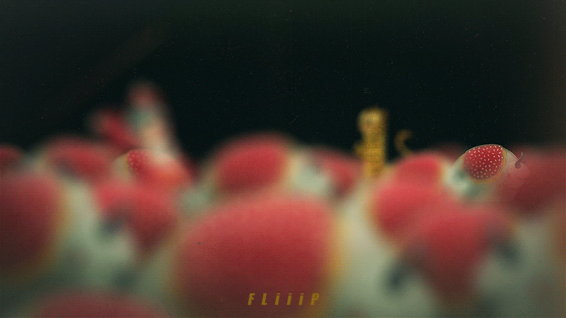 FLiiiP制造 | 皮影动画回顾《哞哞哞2021嗷嗷嗷2022》（图ZMzIyNzc5MTA0） - 动画片 - 站酷设计师FLiiiPDesign原创素材 - 站酷ZCOOL