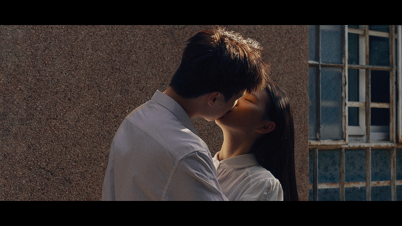 春风十里燕双飞