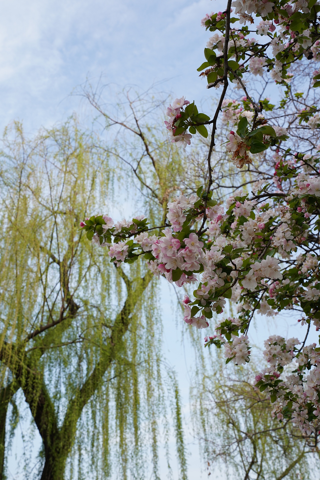 南京莫愁湖公园