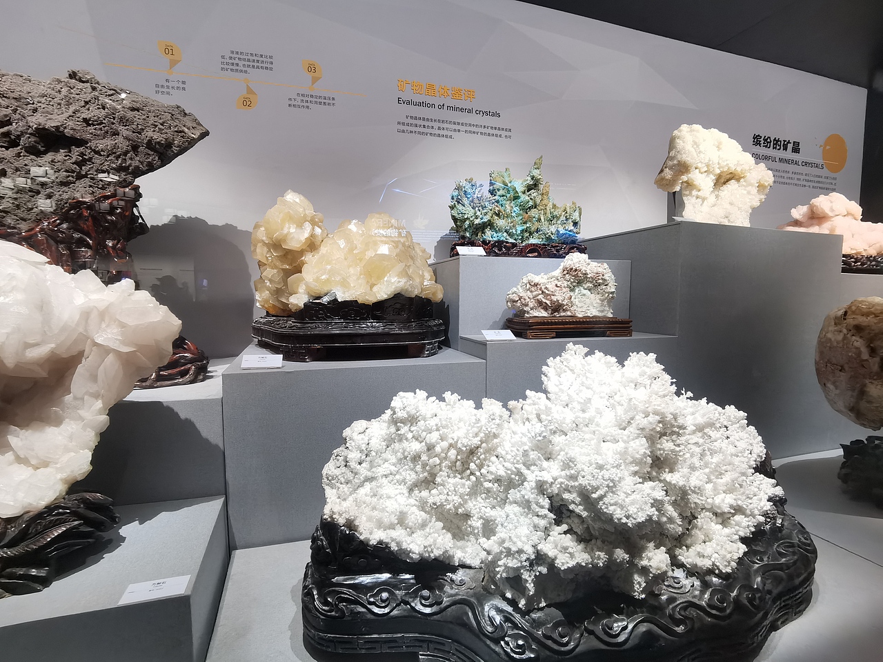 成都自然博物馆（图ZMzI0NTI3MzY4） - 展陈设计 - 站酷设计师聚光灯下锦衣夜行原创素材 - 站酷ZCOOL