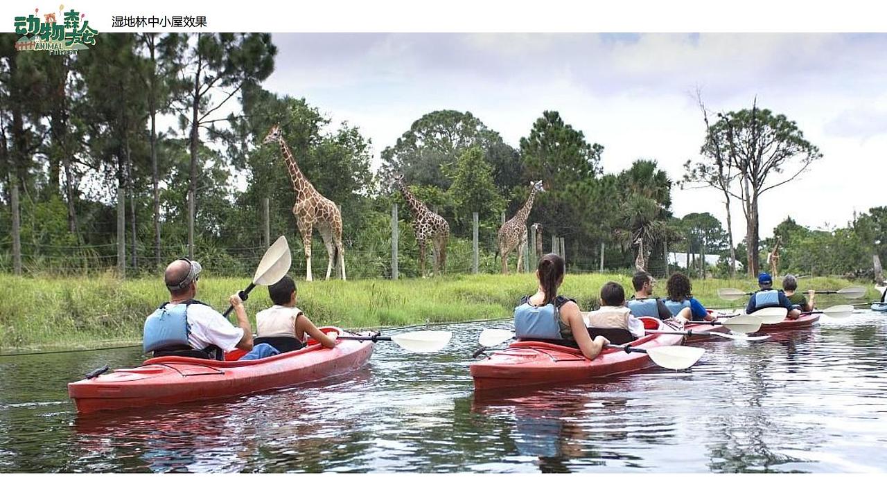 森林公园设计方案