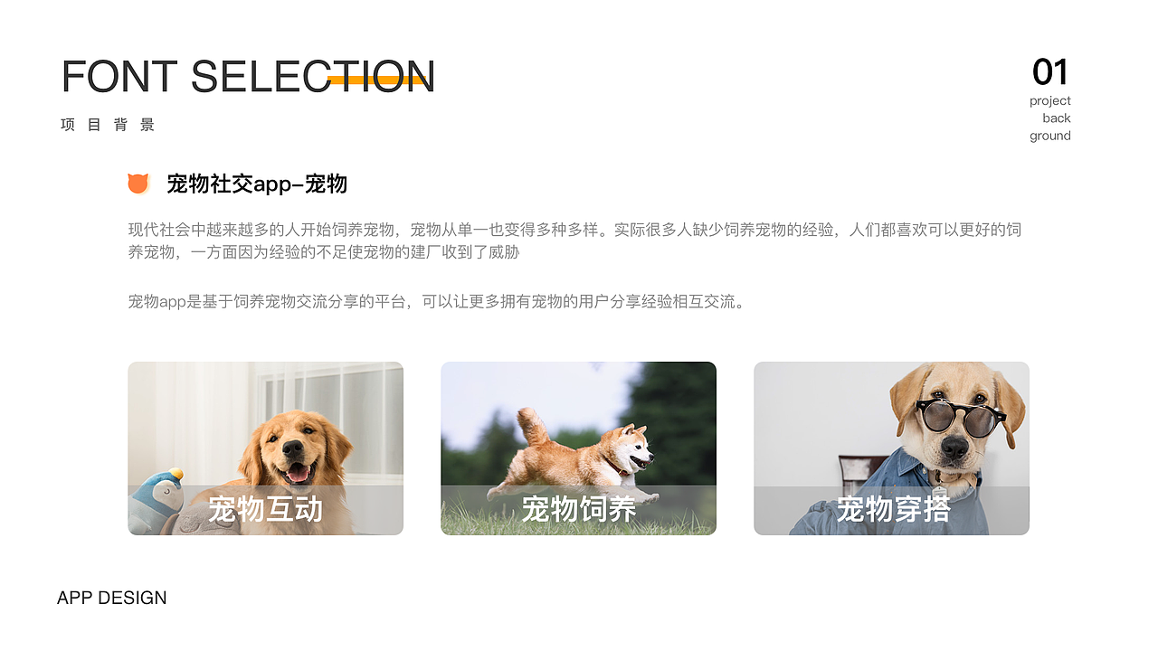 2021-2022总结（图ZMzUwNzQ1NzU2） - APP界面 - 站酷设计师剑谱第一页原创素材 - 站酷ZCOOL