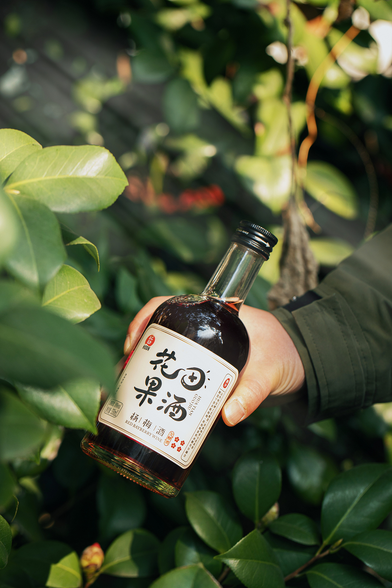 果酒/自然森系户外/野餐场景拍摄/饮品摄影/