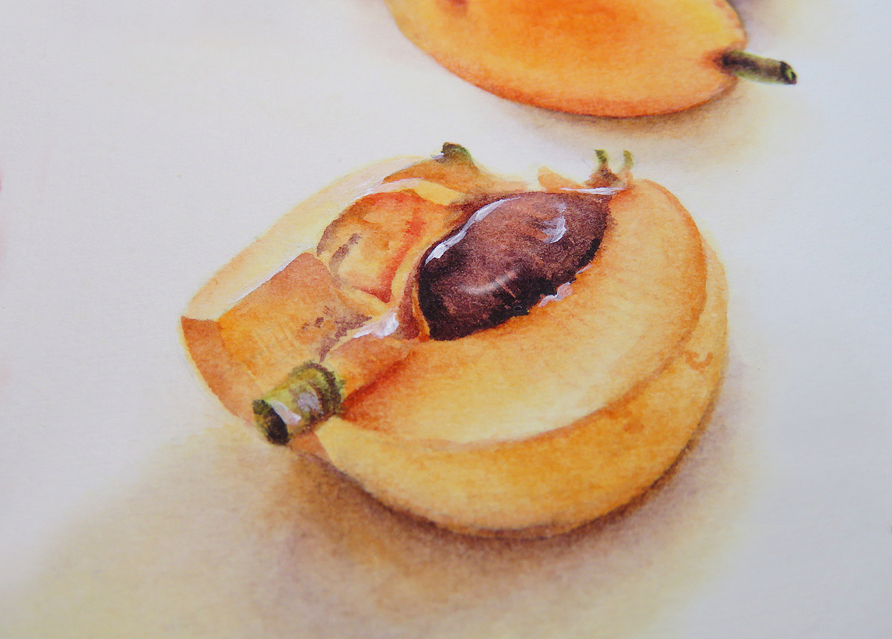 24节气的热带水果