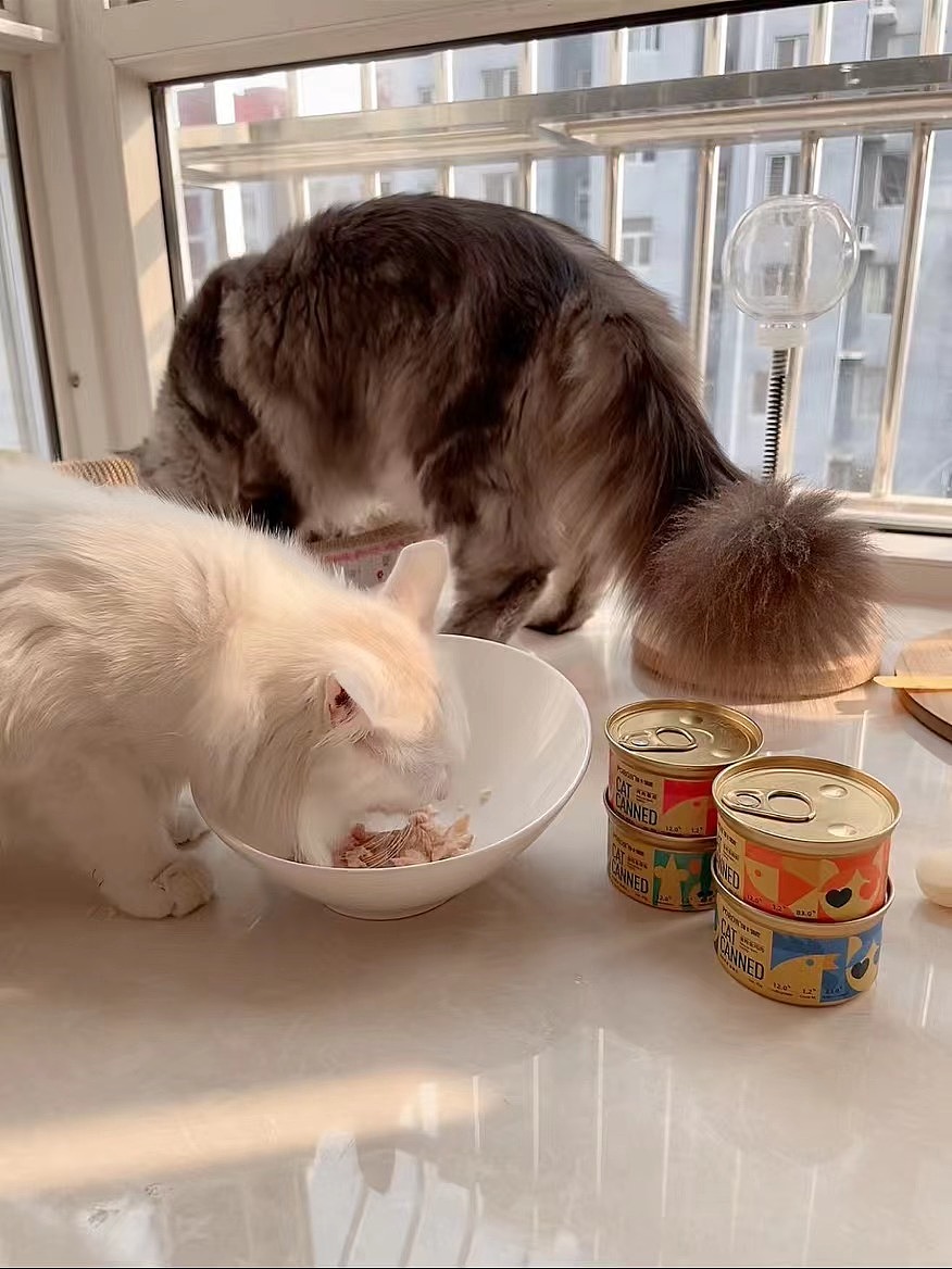 图卡驯鹿宠物食品（图ZMzU3NDk5ODcy） - 海报 - 站酷设计师虾糊土豆原创素材 - 站酷ZCOOL