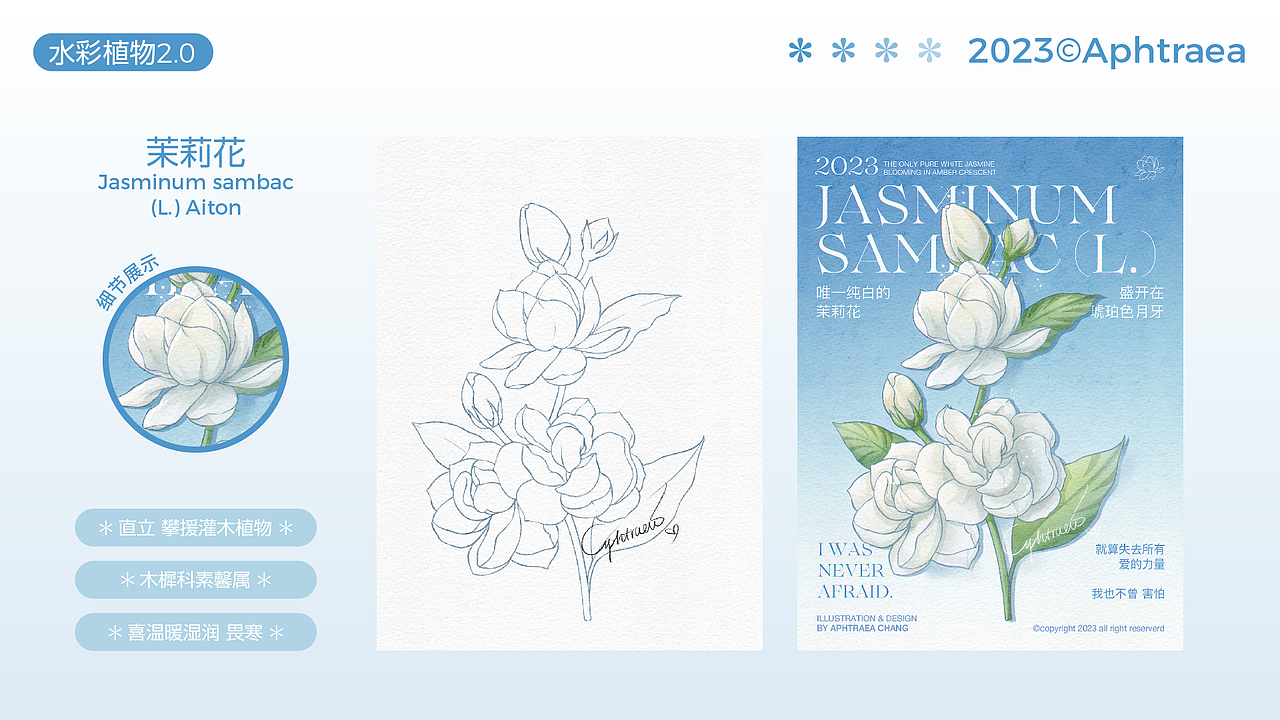 水彩花卉插画2.0合集（图ZMzU1ODk5MjY4） - 商业插画 - 站酷设计师阿芙特莱雅原创素材 - 站酷ZCOOL