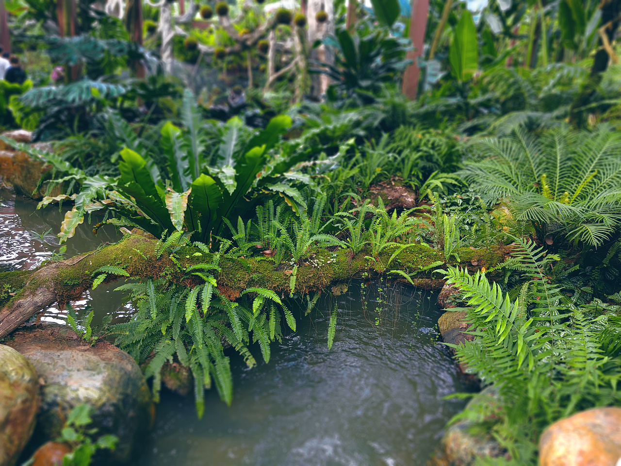 漫游（图ZMzQ1OTAxODQw） - 风光摄影 - 站酷设计师曦言ECHO原创素材 - 站酷ZCOOL