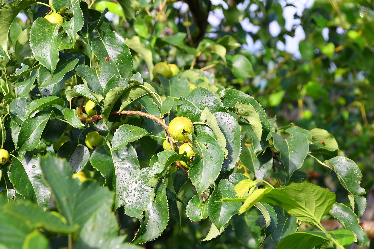 婆婆的榛子山（图ZMzA5MzI4NzAw） - 产品摄影 - 站酷设计师大奇范儿原创素材 - 站酷ZCOOL