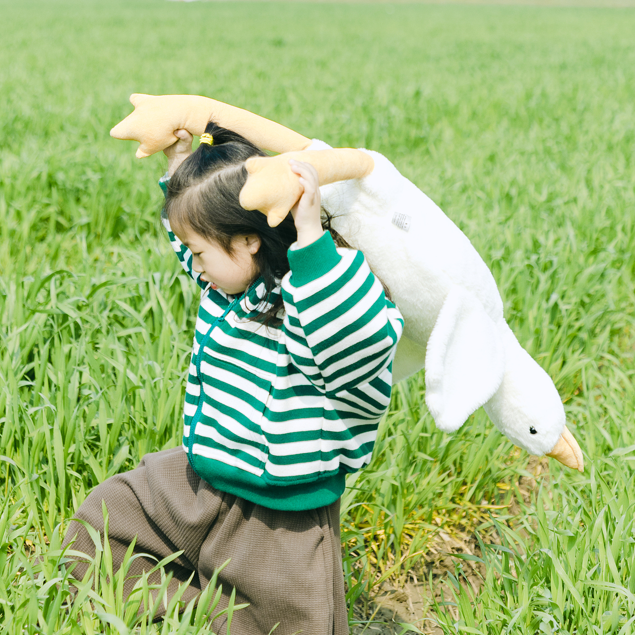 对啊，春天来了