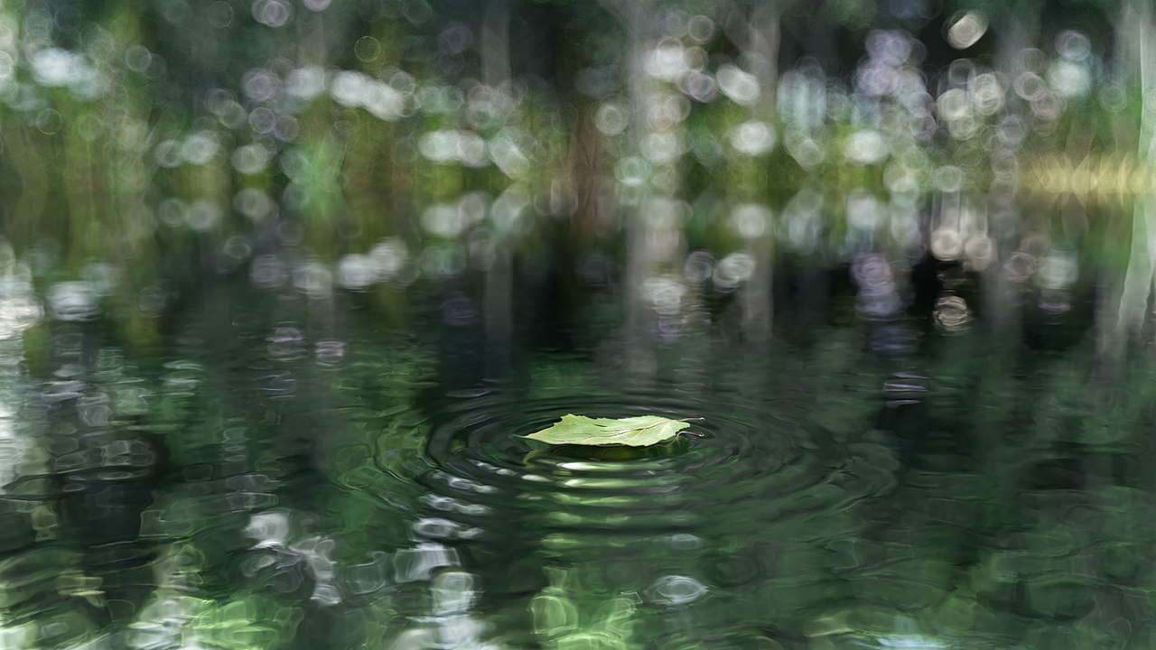 日常渲染练习（图ZMzAwMDQxMzky） - 动画/影视 - 站酷设计师阿珑呀原创素材 - 站酷ZCOOL