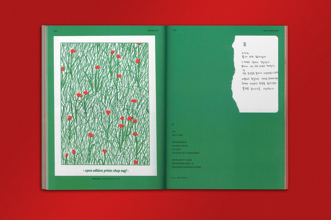 BranD ISSUE 67 从插画家到艺术家：现在就画！