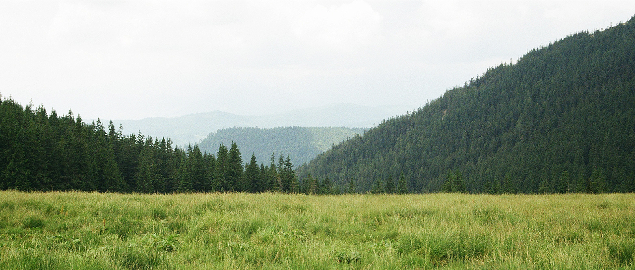 DODE CASE✖️山东高速齐鲁号·全球购牛肉礼盒设计
