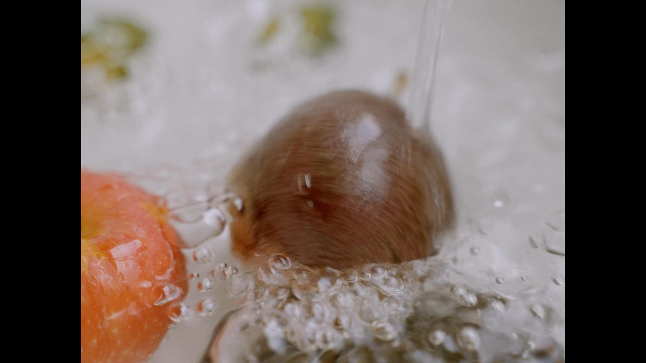 阳光、布裙与手账