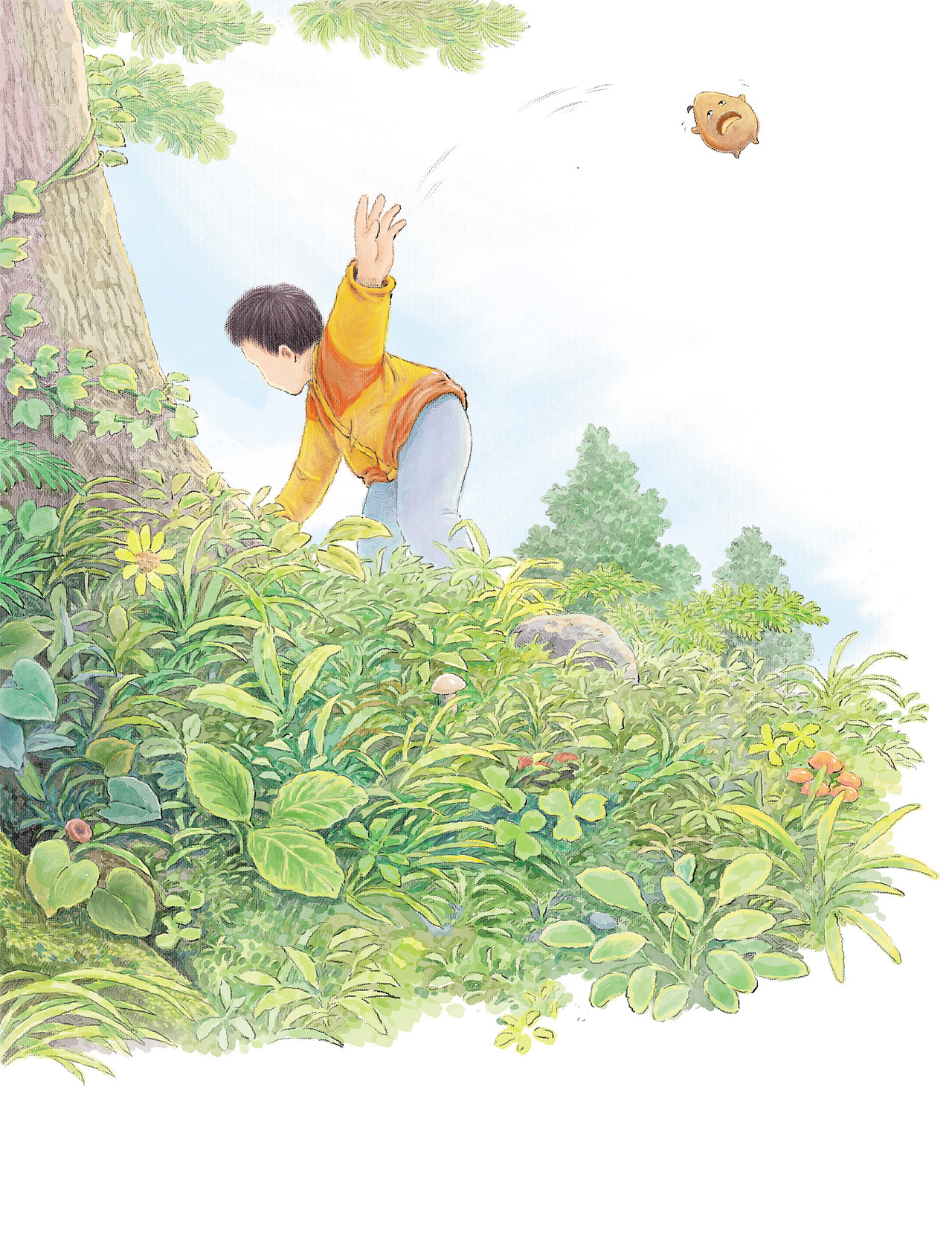 一颗种子的奇遇