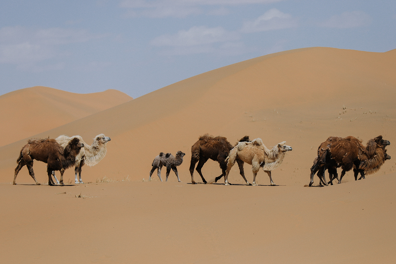 宁夏（图ZMzM4NjQzOTQ0） - 风光摄影 - 站酷设计师yuu0105原创素材 - 站酷ZCOOL