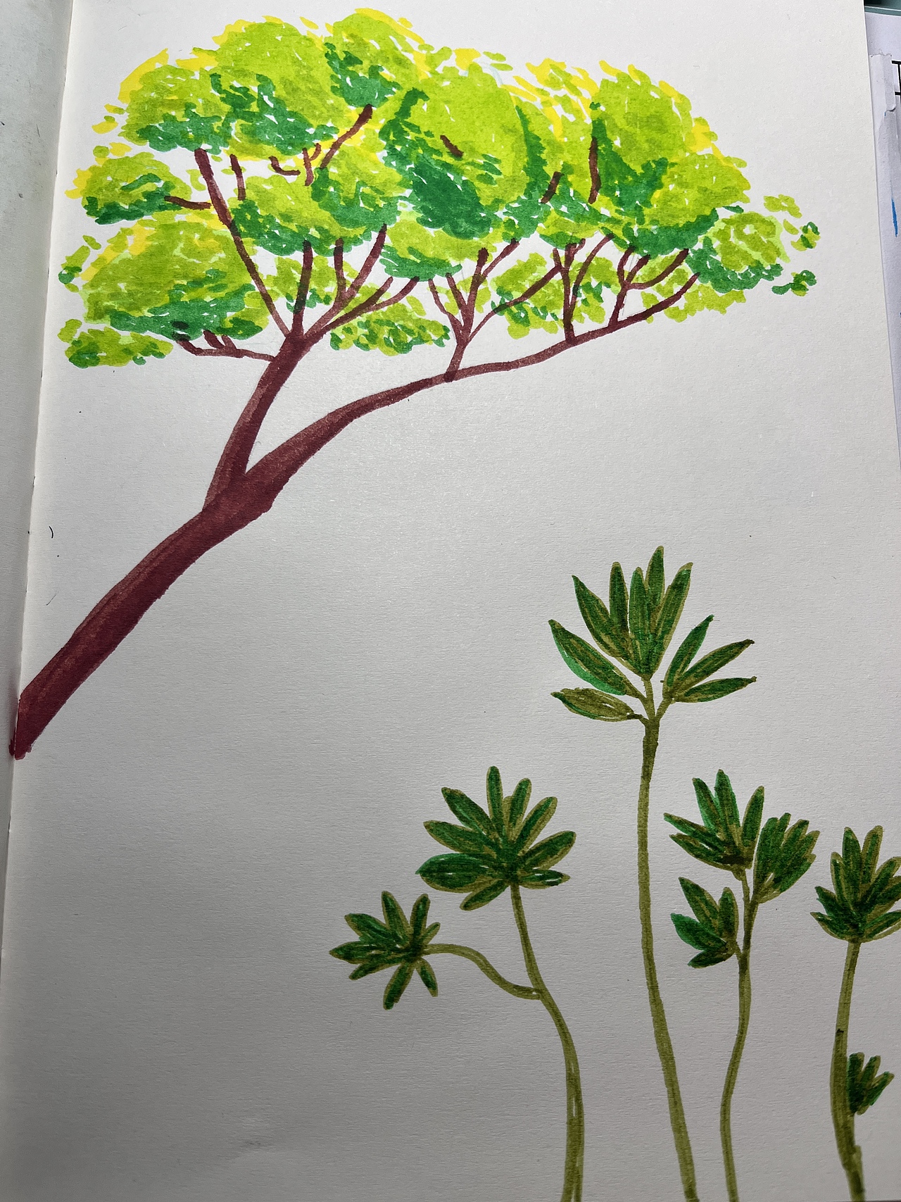 手绘速写打卡Day1-树