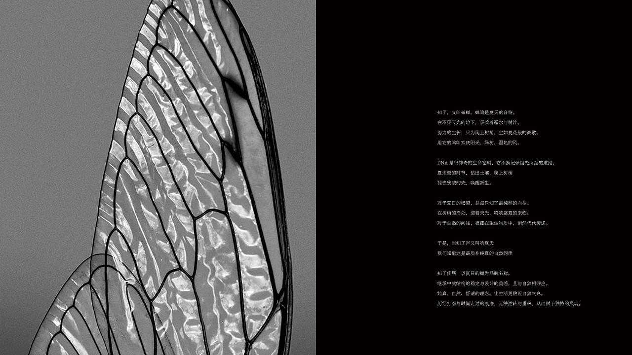 知了佳居 casa cicala