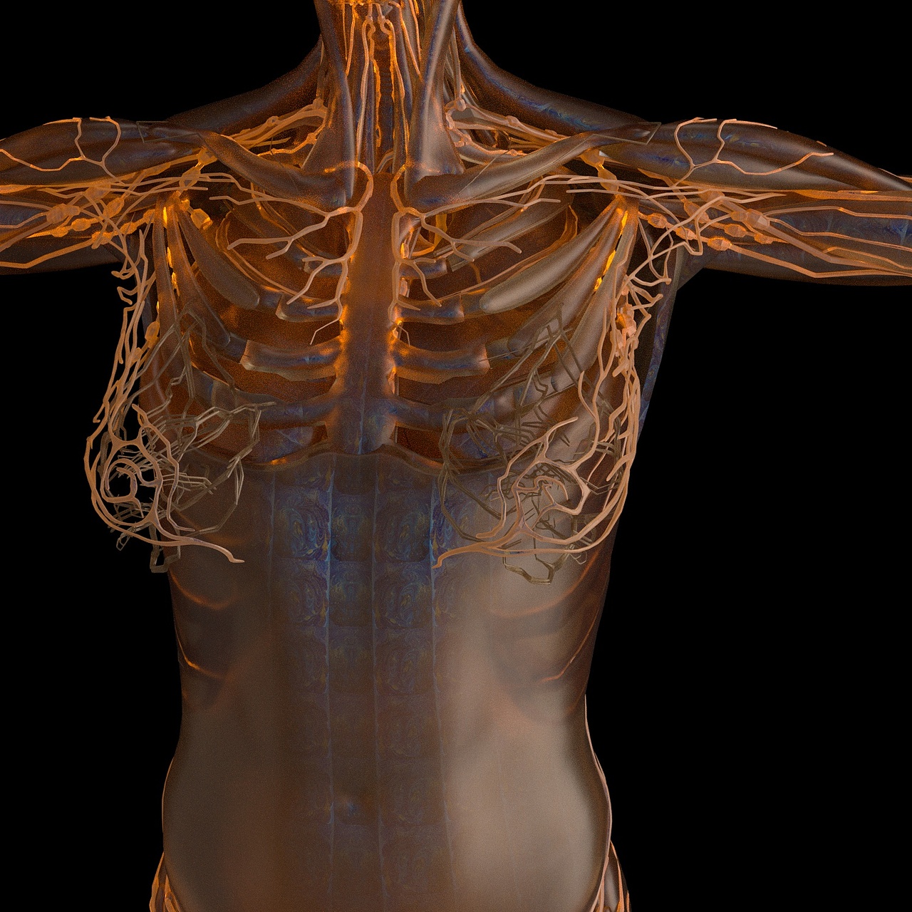 视频+中国风详情+几张渲染图