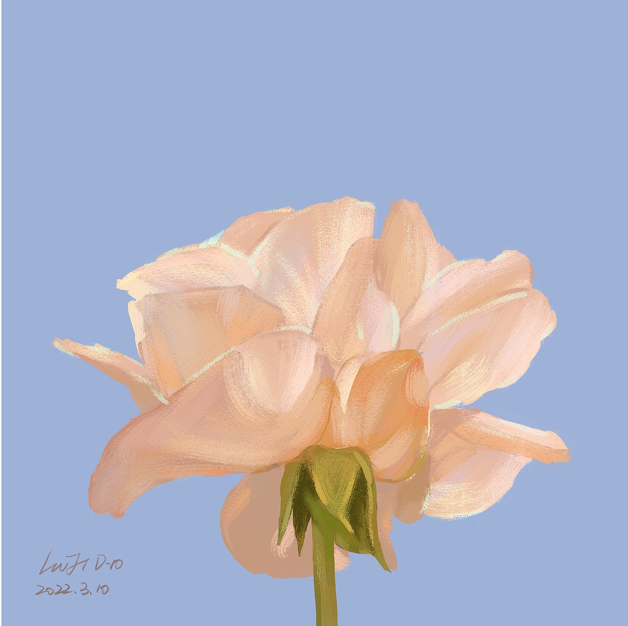 「小Z探险记」05