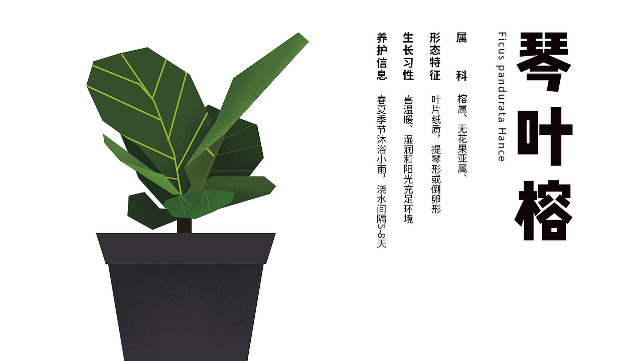 【BOLU】绿植品牌VI-Green plant design（图ZMzAzMDQxNTcy） - Logo - 站酷设计师卷卷心呀原创素材 - 站酷ZCOOL