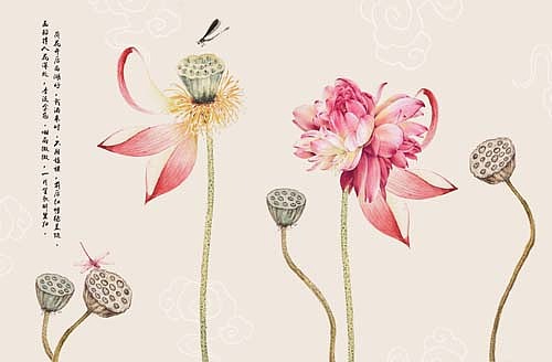 2023花鸟（图ZMzI4NzgwMDI4） - 商业插画 - 站酷设计师新中式纱画图库原创素材 - 站酷ZCOOL