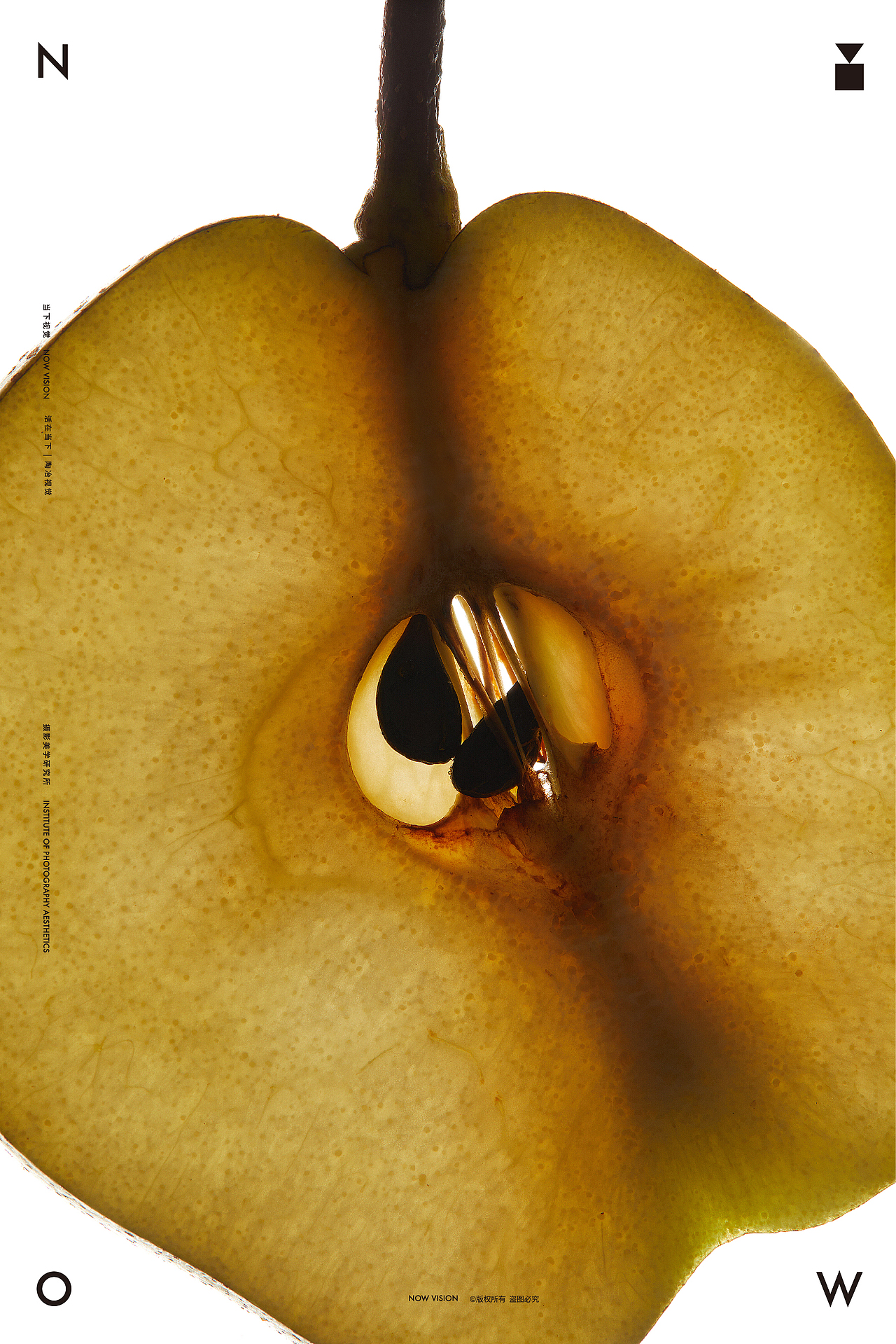 自然造物 解剖美学