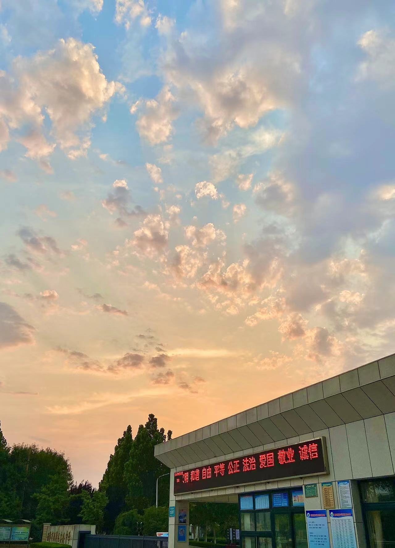 手机拍照日常,调色4