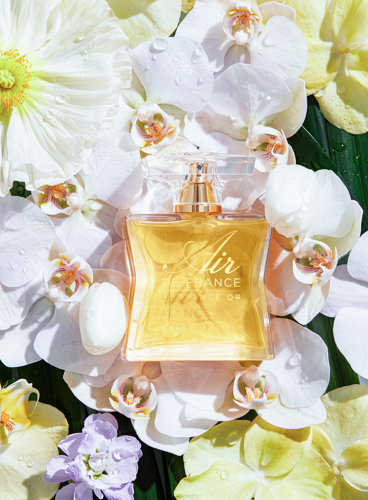 电商摄影 / 香水 # GUANGMAI