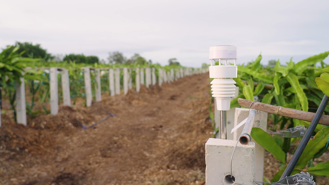 「出海拍出品」天气仪|海外众筹视频