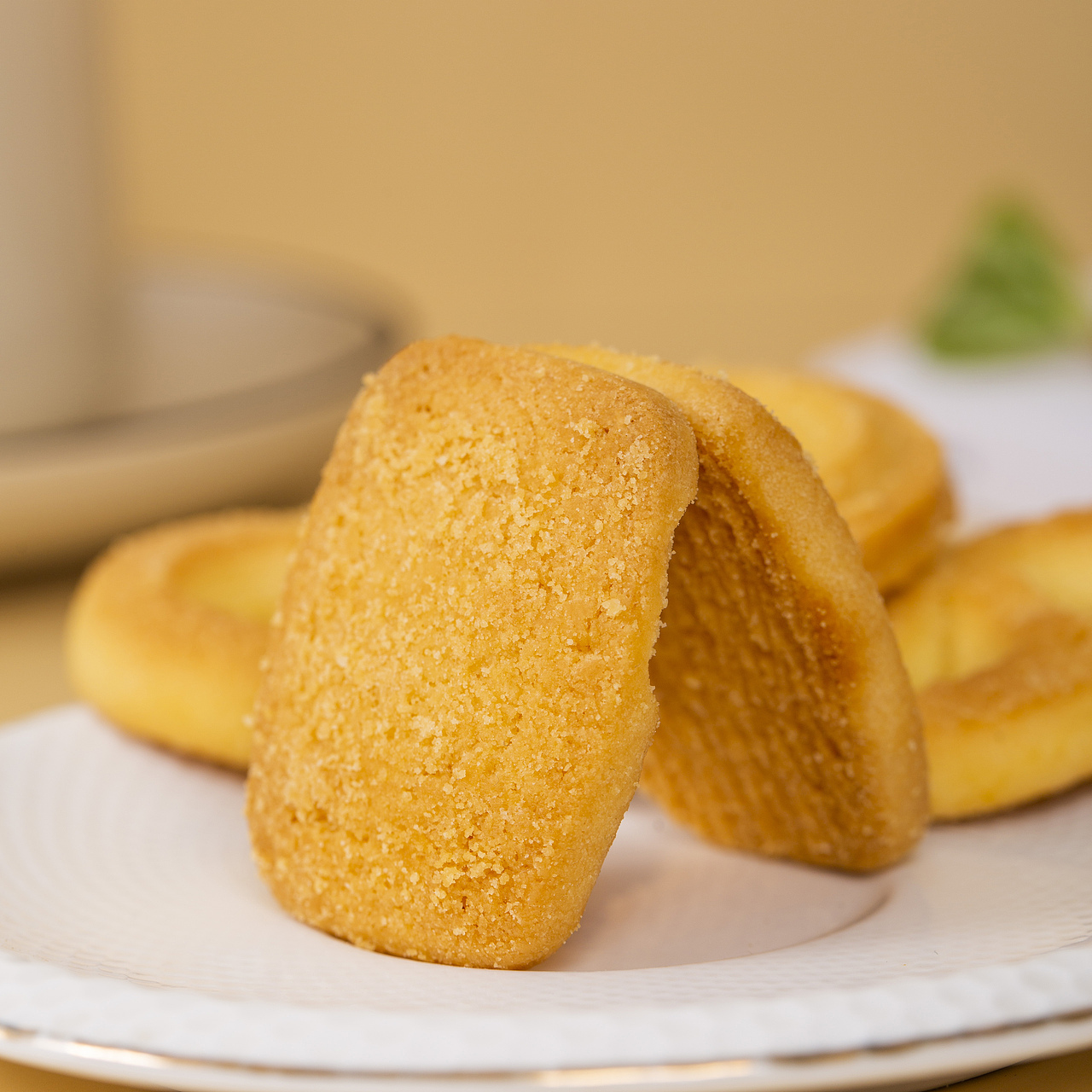 有间|东望洋澳门葡式风味曲奇