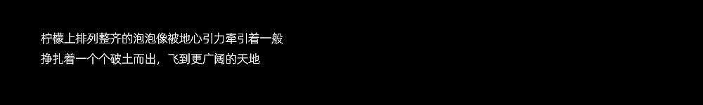 创意摄影|《那一瞬》肌理光影实验拍摄 第一期