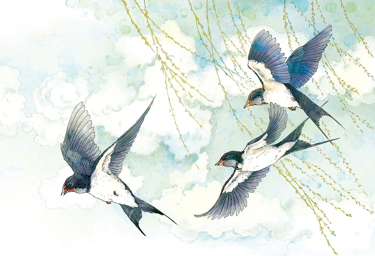 儿童插画 ▏《水彩动物绘本》24册