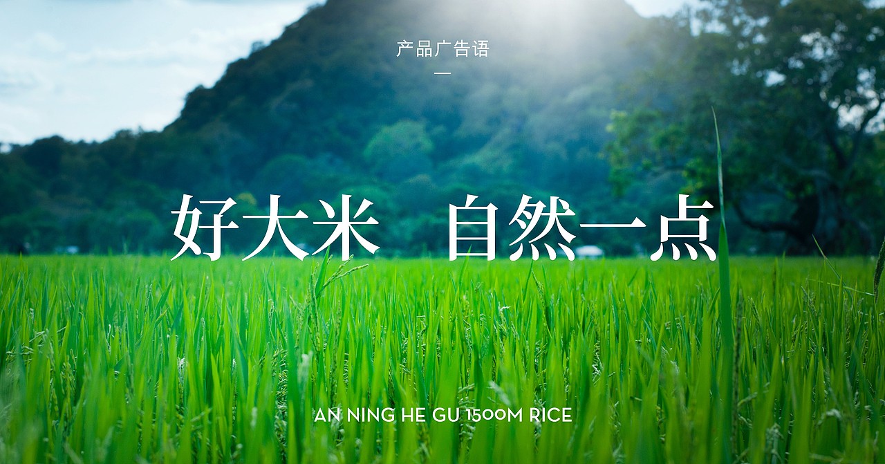 安宁河谷1500米×此山｜与西昌政府合作的大米品牌全案（图ZMzQxMjg3MjQw） - 品牌 - 站酷设计师此山品牌设计原创素材 - 站酷ZCOOL