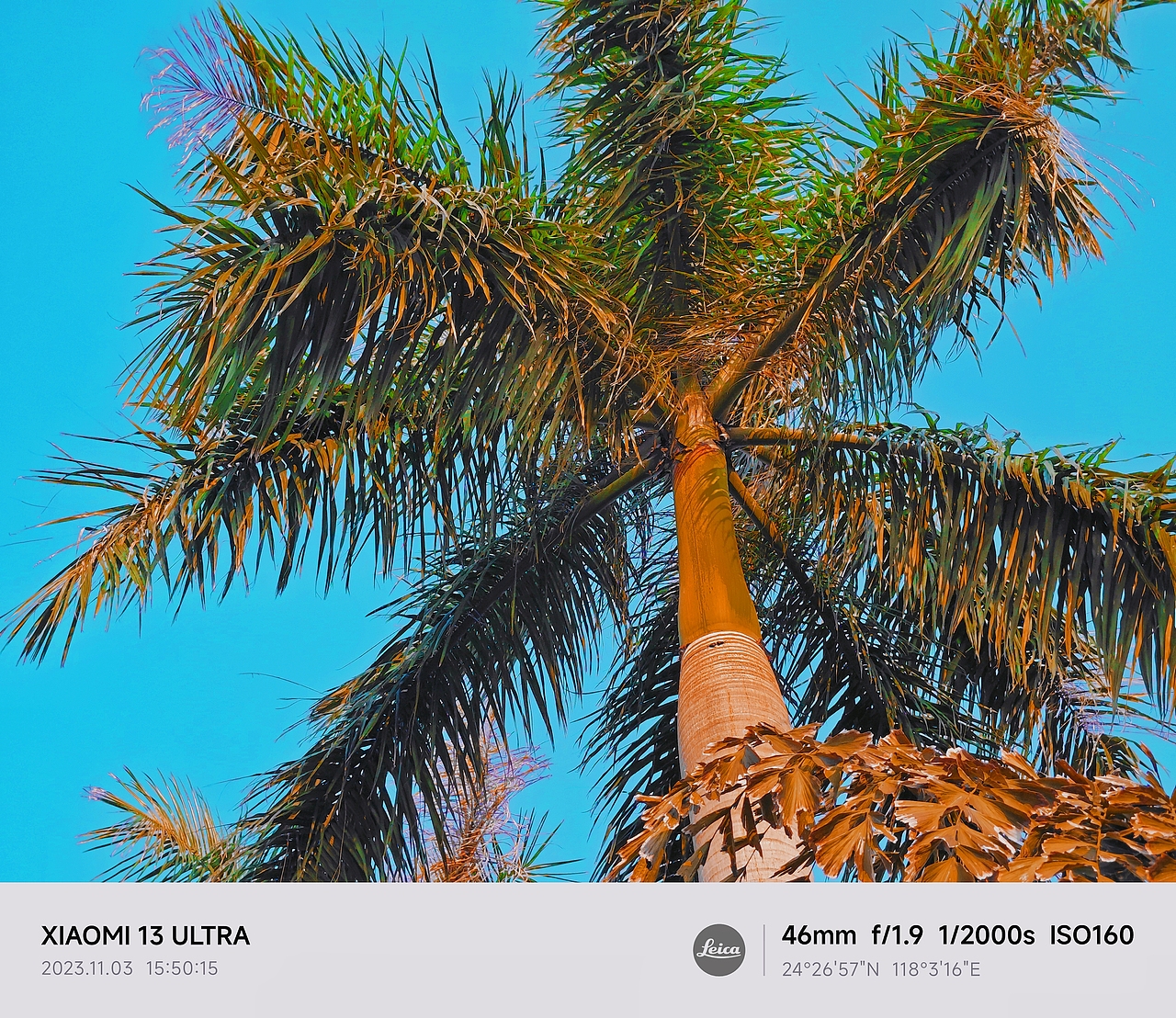 厦门之旅（图ZMzU1MDI4NzYw） - 风光摄影 - 站酷设计师TUBI颗粒子原创素材 - 站酷ZCOOL