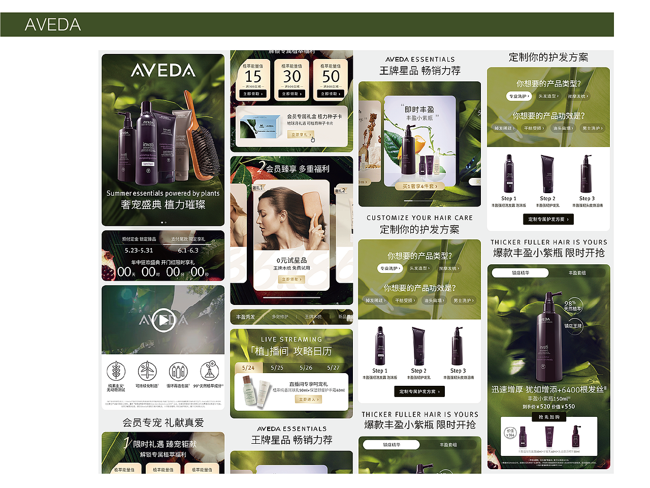 Aveda 2021 ec HP&PDP