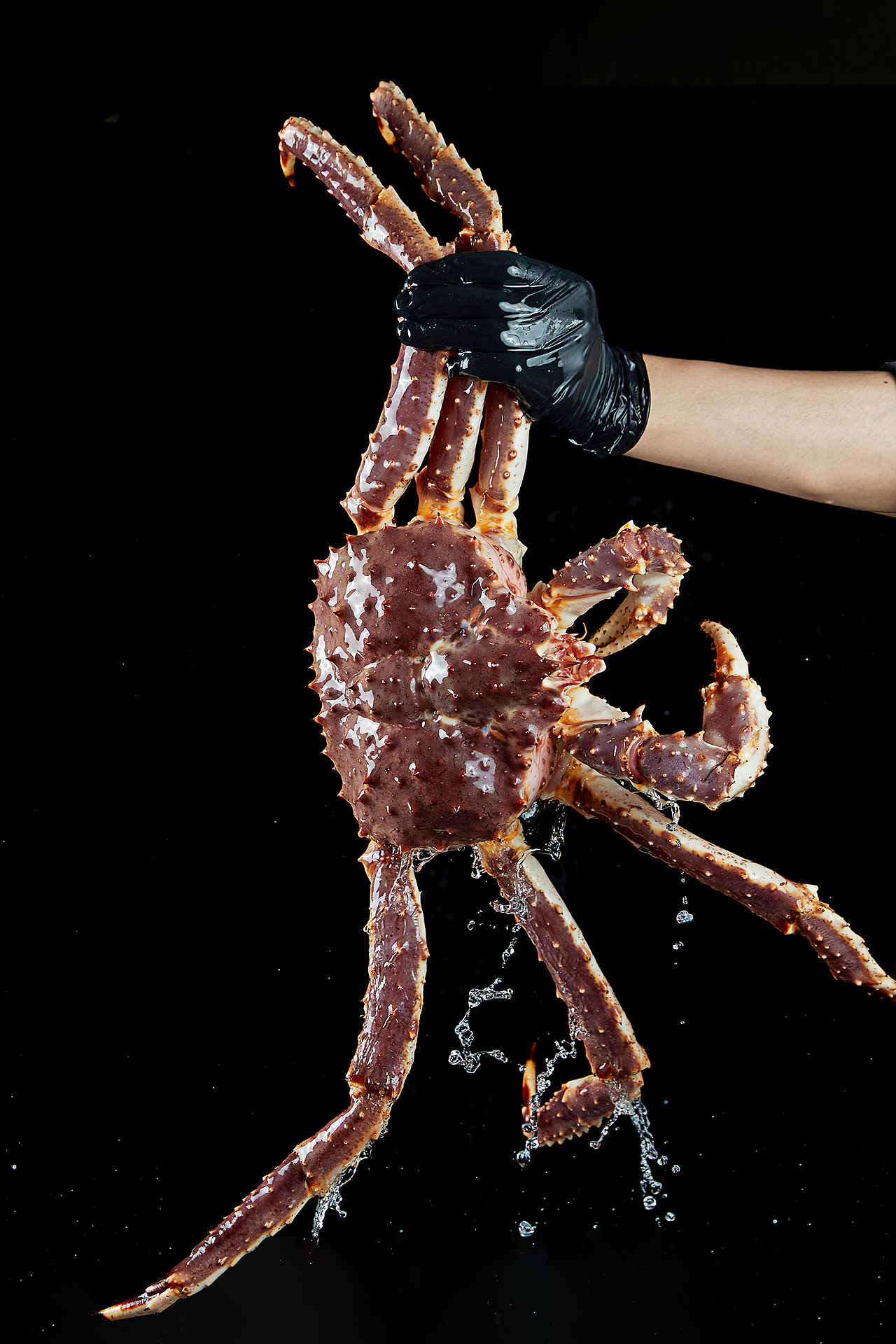 镜品拍摄案例-日料（图ZMzU0MjUzNTQ0） - 美食摄影 - 站酷设计师启鼎镜品视觉原创素材 - 站酷ZCOOL