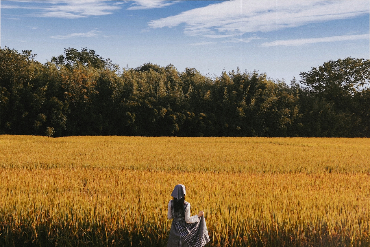 【20221019】稻田蓝裙少女写真