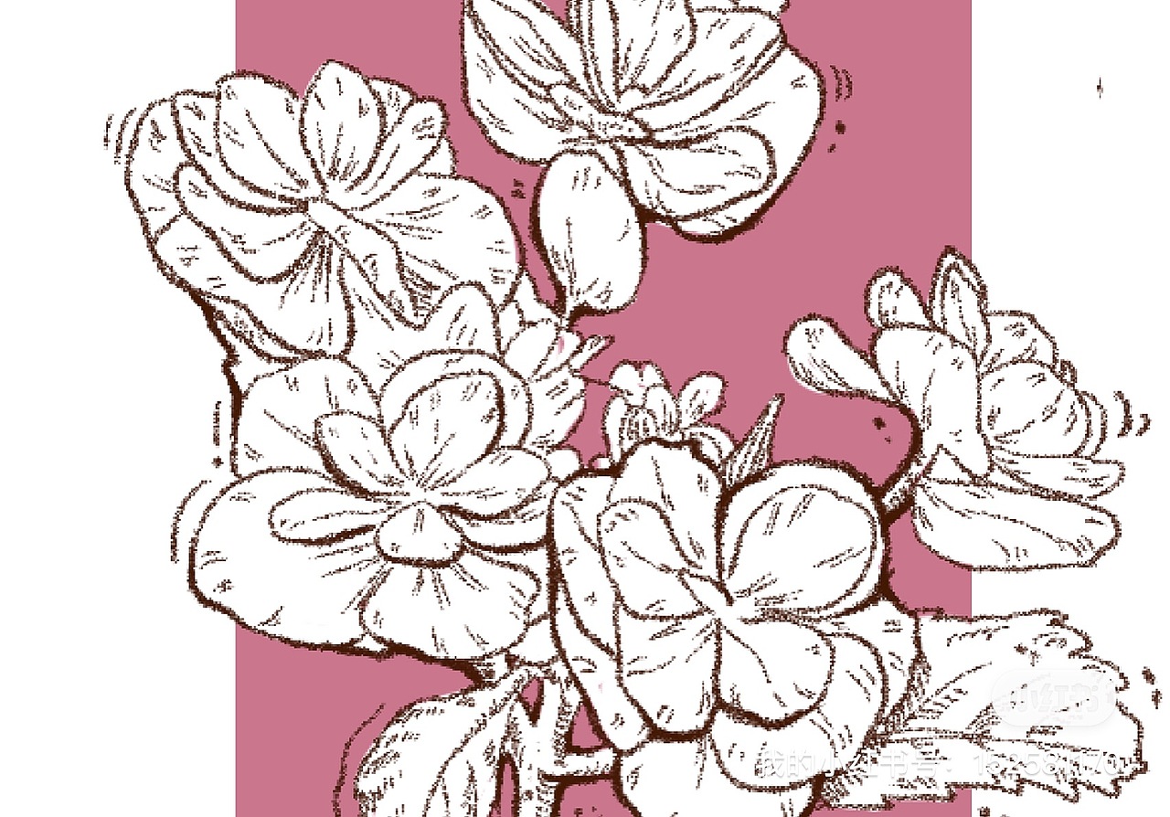 钢笔画联系手稿