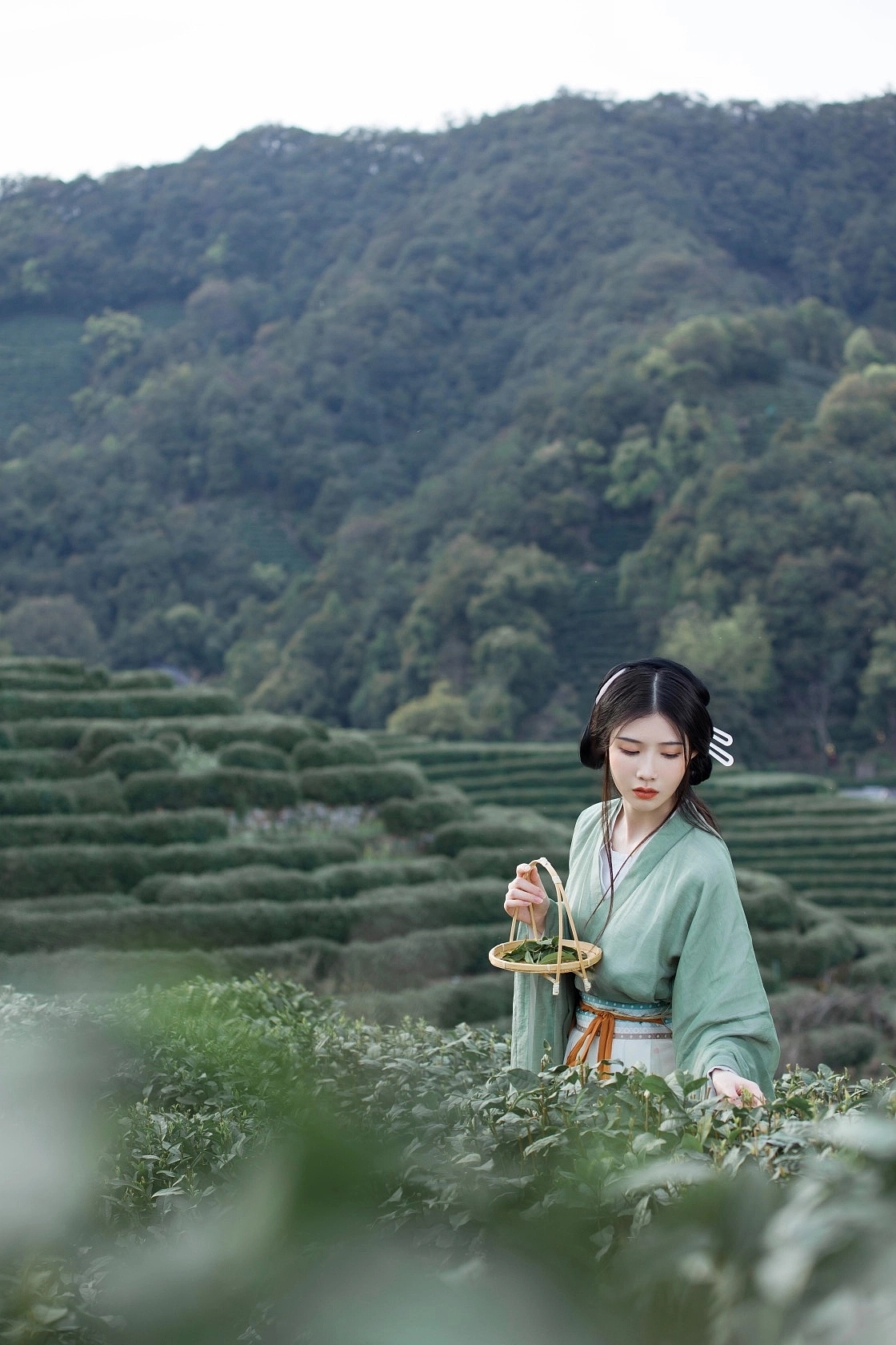 我家有茶园（图ZMzM2MzI1Mzcy） - 人像摄影 - 站酷设计师创美空间摄影原创素材 - 站酷ZCOOL