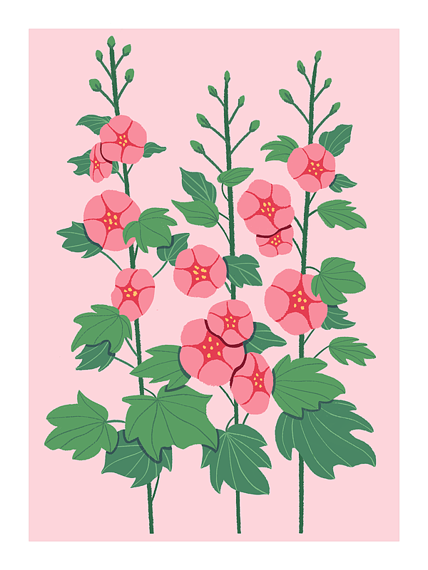 一组花花（图ZMzI2MzQ0Njk2） - 创作习作 - 站酷设计师鱼插画原创素材 - 站酷ZCOOL